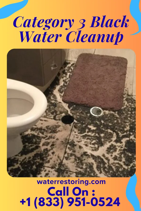 Category 3 Black Water Cleanup in Colwich, KS