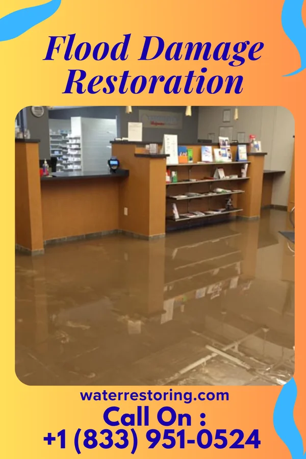 Flood Damage Restoration in Colwich, KS