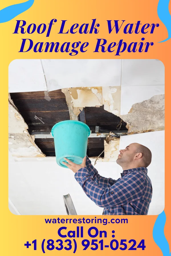 Roof Leak Water Damage Repair in Colwich, KS