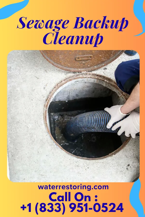 Sewage Backup Cleanup in Colwich, KS