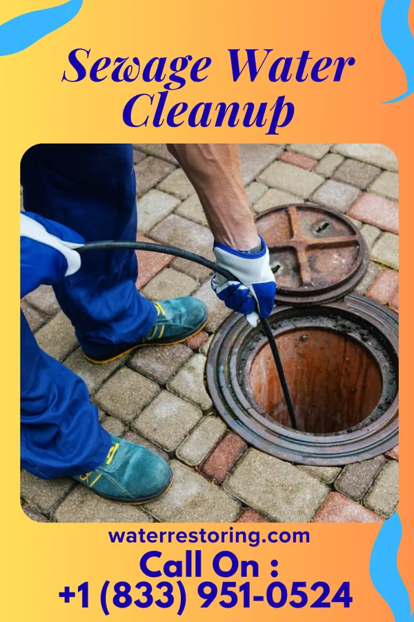 Sewage Water Cleanup in Colwich, KS